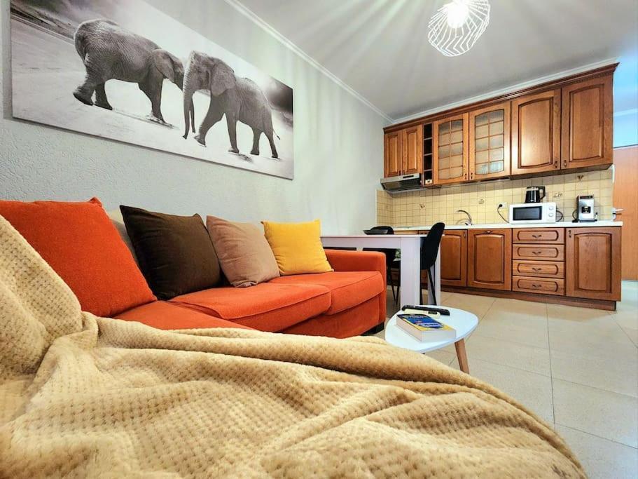 Apartmán One Bd Flat Near Center With 24H Self Check In Tirana Exteriér fotografie